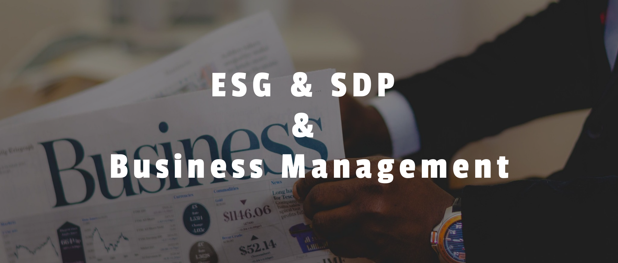 ESG & SDP & Business Management 商業管理