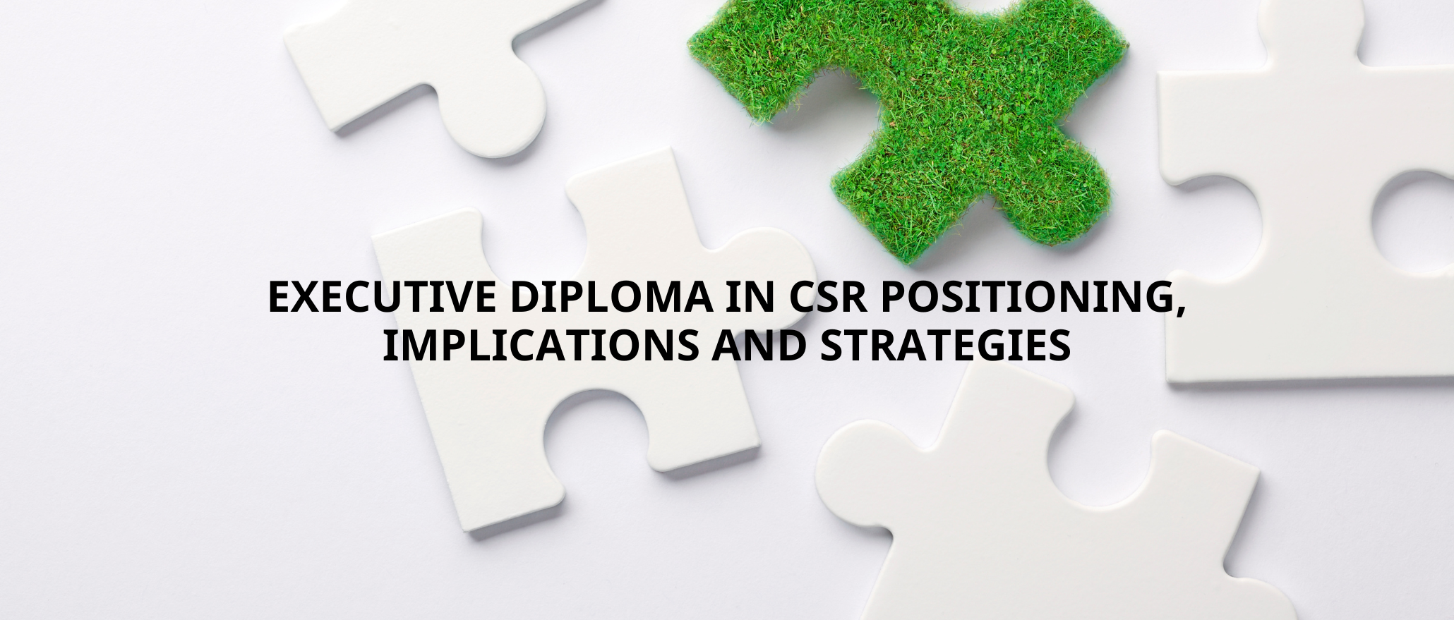 Executive Diploma in CSR Positioning, Implications and Strategies (Advanced Planner) ─ HC004-202208
